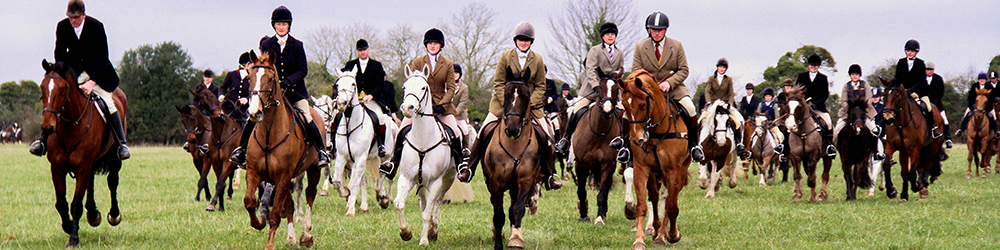 horses climbing hill